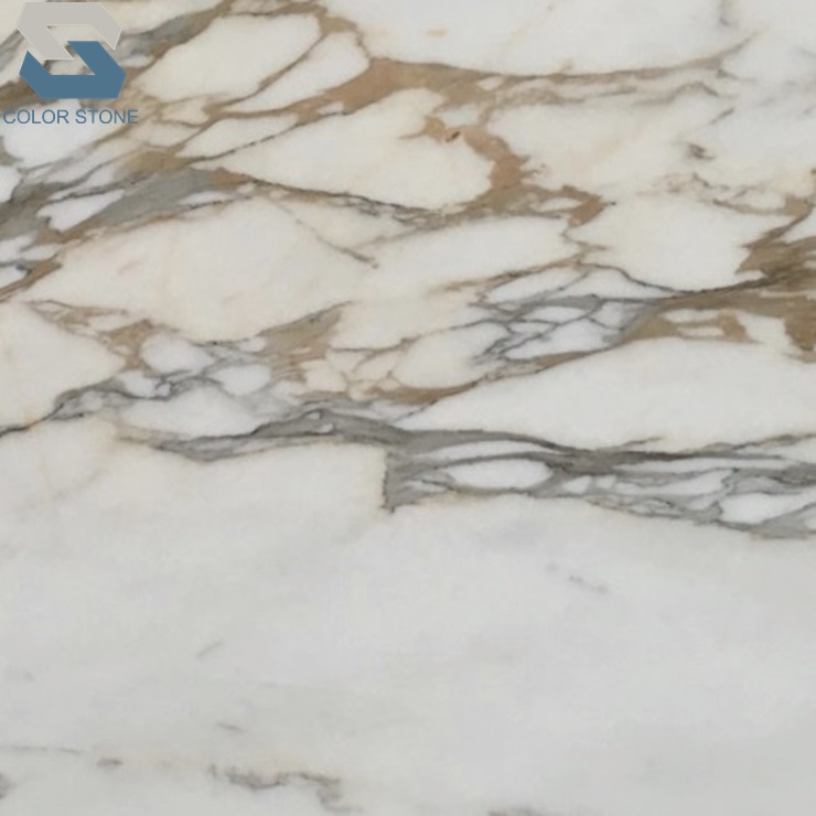 Calacatta gold marble