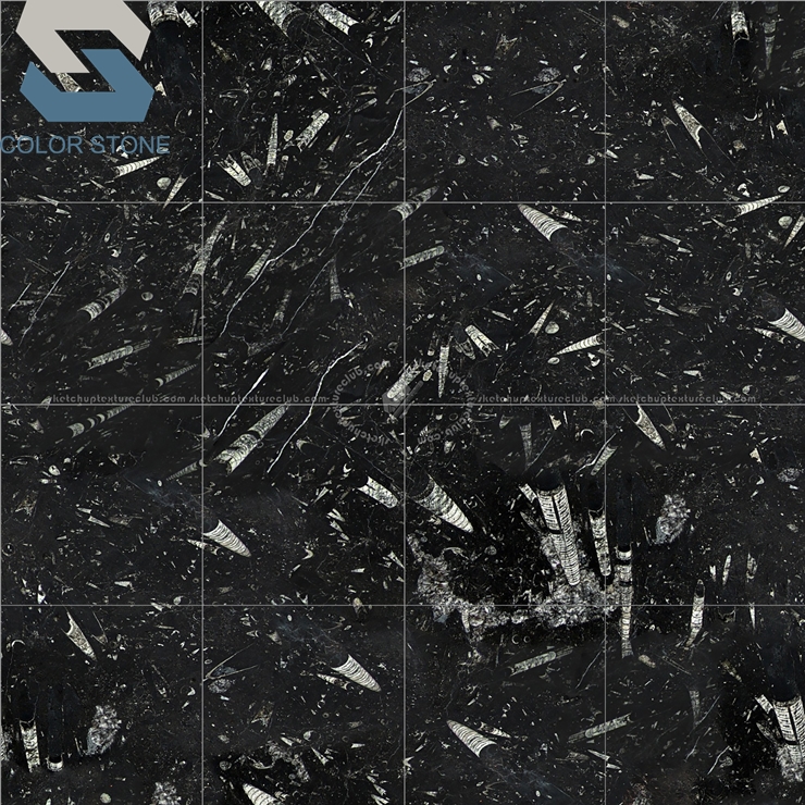Fossil black marble
