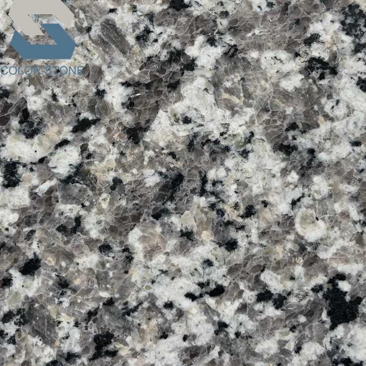 Swan white Granite